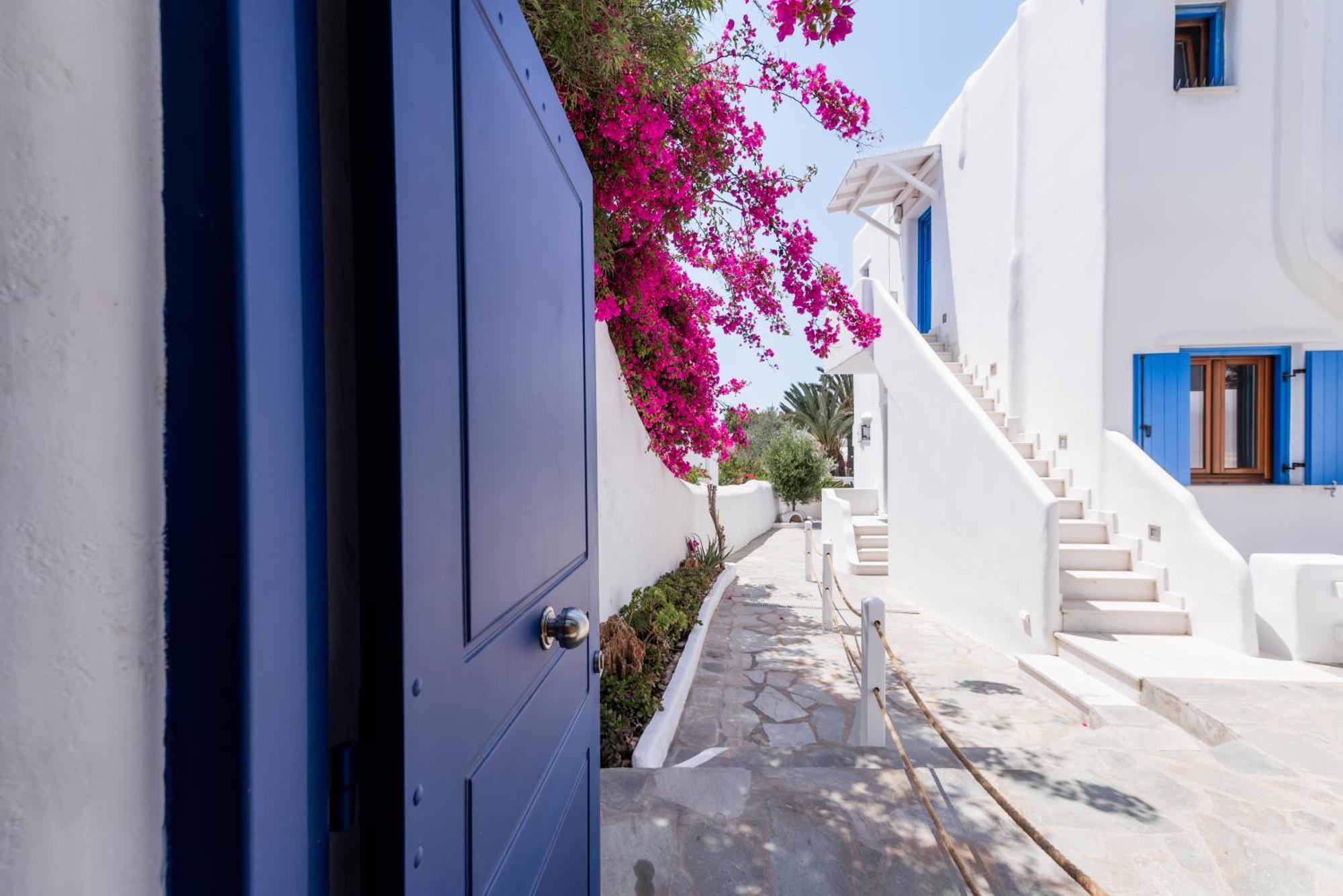 Olive Tree & Capari Mykonos Town Homes & Apartments With Pool! Kültér fotó